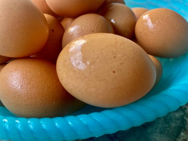 istock Closeup view of Wet eggs on the blue basin 1331534068