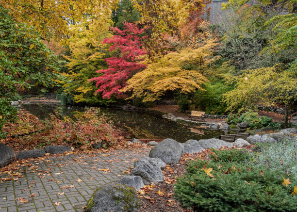 istock Bench at Lithia Park by the lake 1331534778