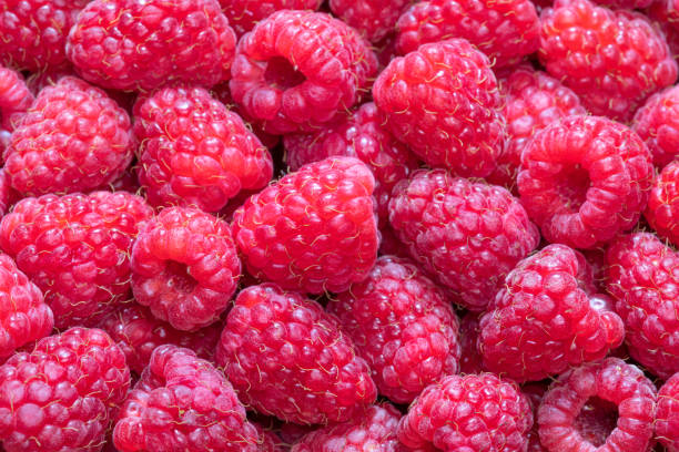 istock Fresh raspberries background. dessert food 1331536684