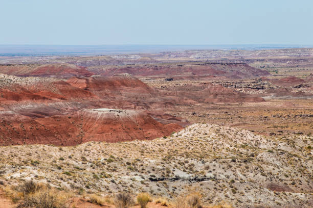istock Petrified Forest National Park 1331537813
