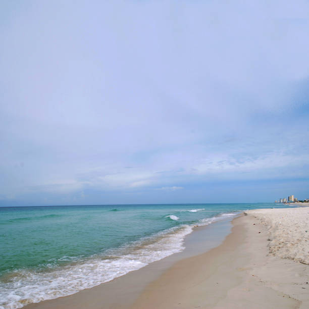 istock Beach and water with vwaves 1331538595