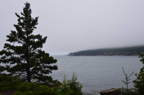 istock Acadia National Park 1331544039