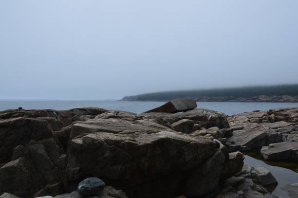 istock Coastline of Acadia National Park 1331545021