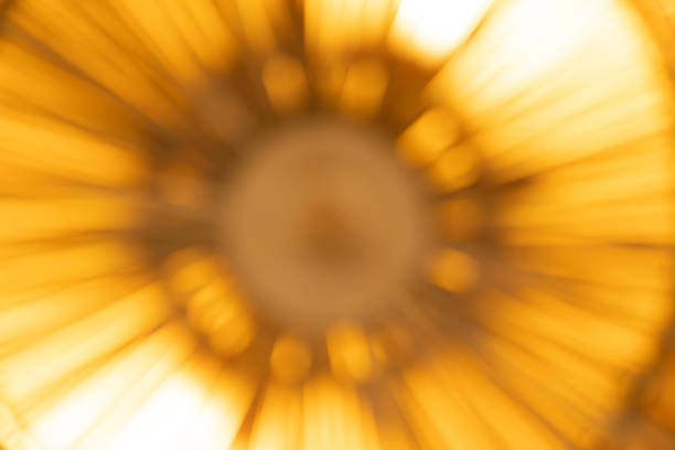 Defocused view of sunflowers blooming in fields