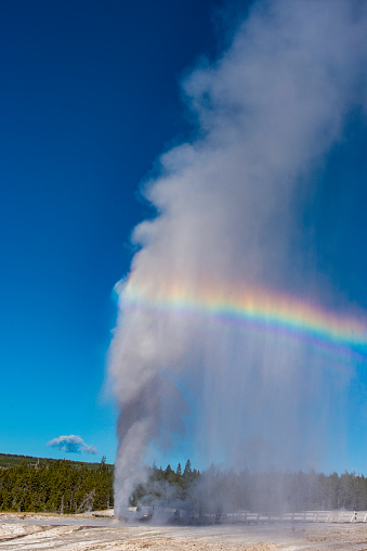 Beehive Geyser in Upper Geyser Basin of Yellowstone National Park with a rainbow.\
