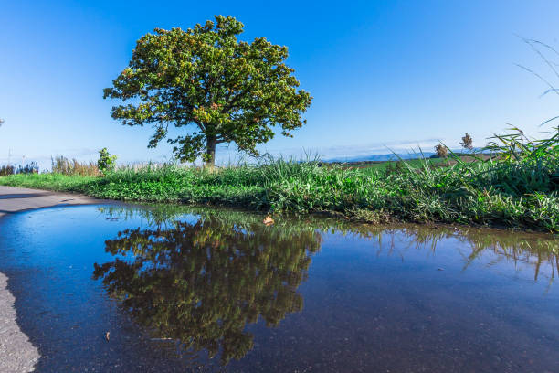 istock Run around Furano in autumn 1331559568