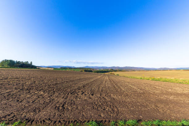 istock Run around Furano in autumn 1331559578