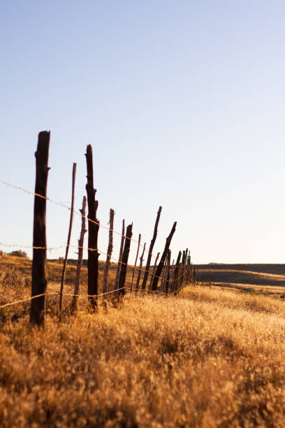 istock Golden landscape with fence 1331559868