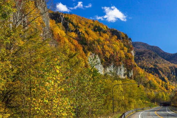 istock Autumn leaves, clouds and train 1331561901