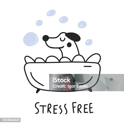 istock Cute dog taking a bath. Stress free. 1331566531
