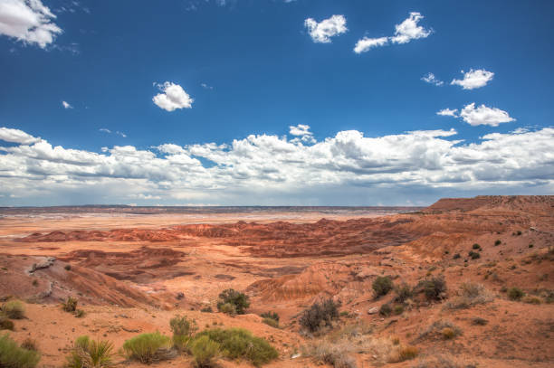 istock Aerial View of Red Rock Desert 1331573984