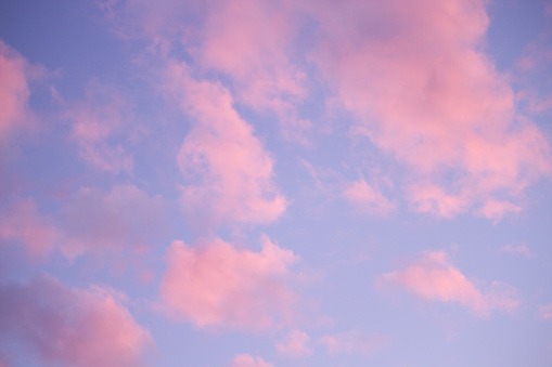 Beautiful pink clouds in the sky