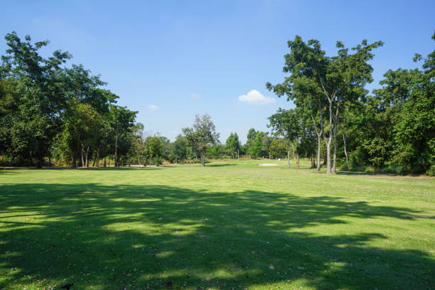 istock Beautiful golf course on a sunny day. 1331574314