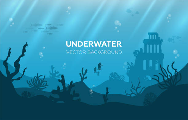 istock Silhouette of coral reef with fish and scuba diver on a blue sea background. 1331574363