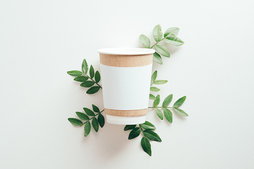 Disposable paper coffee cup mockup with green leaves on white background. Eco-friendly container for hot drinks.