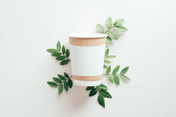 Disposable paper coffee cup mockup with green leaves on white background. Eco-friendly container for hot drinks. Disposable paper coffee cup mockup with green leaves on white background. Eco-friendly container for hot drinks. plastic free photos stock pictures, royalty-free photos & images
