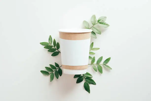 Photo of Disposable paper coffee cup mockup with green leaves on white background. Eco-friendly container for hot drinks.
