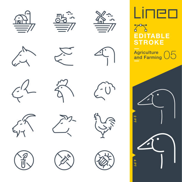 lineo editable stroke - liniensymbole für landwirtschaft und landwirtschaft - lamb rural scene sheep field stock-grafiken, -clipart, -cartoons und -symbole