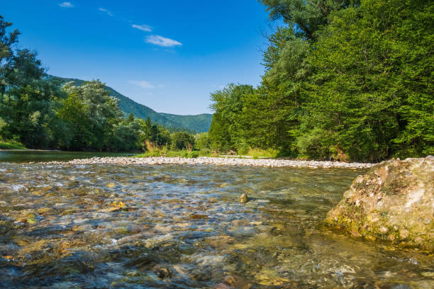 istock Kupa river in Gorski kotar, Croatia 1331594011