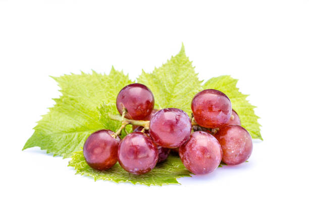 istock Bunches of grapes on white background 1331594139