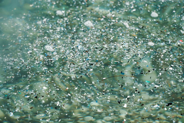 Microplastic pollution of the sea and the ocean. Plastic trash and waste in the water of the world's oceans. Microplastic pollution of the sea and the ocean. Plastic trash and waste in the water of the world's oceans. High quality photo microplastic stock pictures, royalty-free photos & images