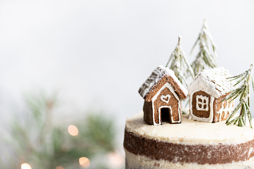 Christmas cake with gingerbread houses.