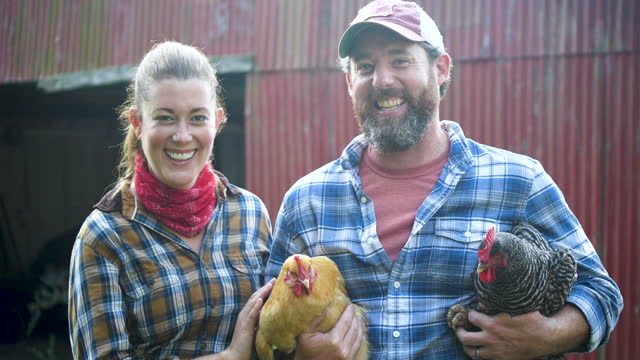 Couple on farm holding chickens in front of red barn