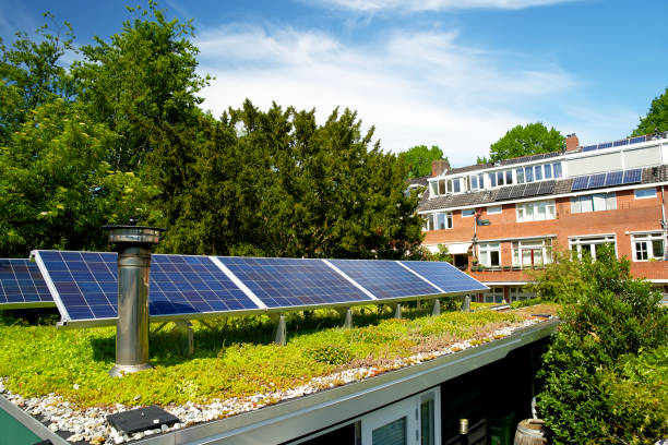 Solar panels on a sedum green rooftop garden on behalf of climate adaptation on a green rooftop in Helpman Groningen green building photos stock pictures, royalty-free photos & images