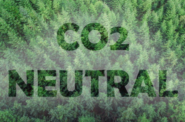istock CO2 Neutral text against a forest alley backgound. Concept for climate change, ecology, global warming, save the planet. 1331602816