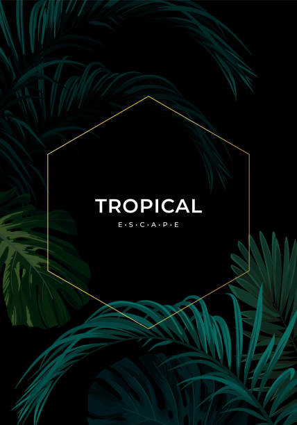 istock Dark summer tropical background with exotic palm leaves. Vector floral template. 1331602842