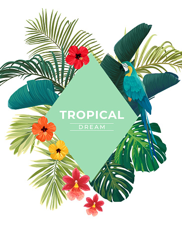 Summer tropical background with exotic palm leaves and hibiscus flowers. Vector floral background.