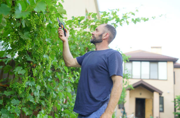 istock Worker cutting off branch in garden. Autumn works 1331603930