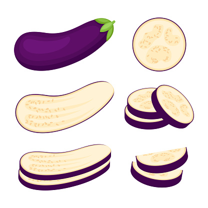 Eggplant, whole vegetable, half and slices, vector illustration