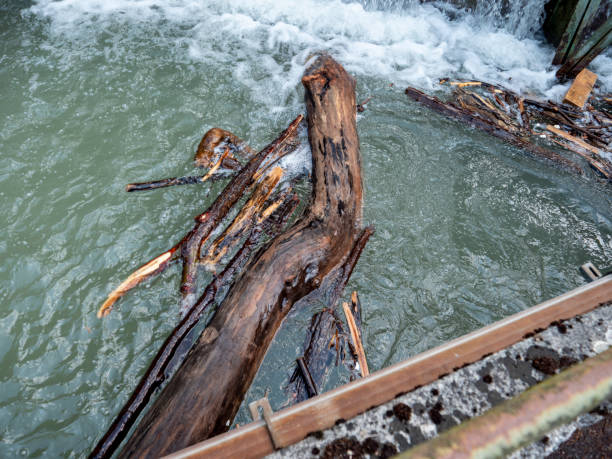 inundação, rios perto de inundações2 - global warming drought riverbank dirt - fotografias e filmes do acervo