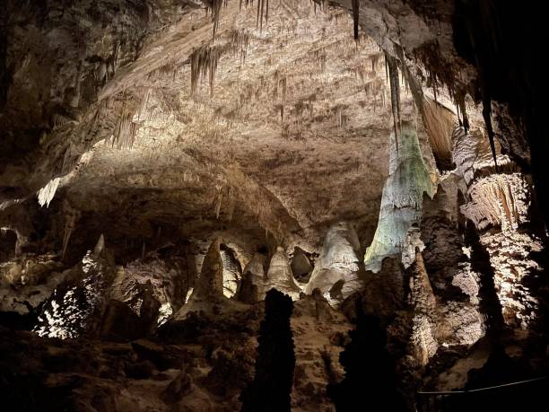istock Carlsbad Caverns National Park 1331620424