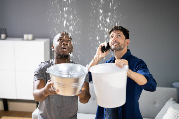 plumber needed for leaking roof - roof leak imagens e fotografias de stock