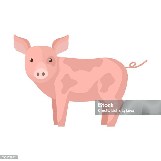 Cute Pig Isolated On White Background Funny Cartoon Character Farm Pink Color Stock Illustration - Download Image Now