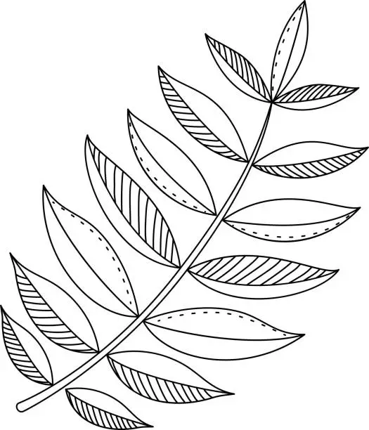 Vector illustration of Leaves, grass silhouette. Hand drawn decorative elements.