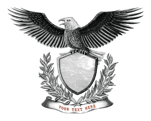 istock Eagle branding logo design hand draw vintage engraving style black and white clip art isolated on white background 1331644035