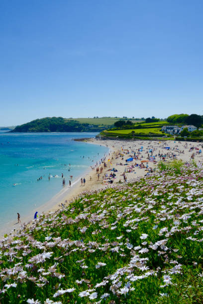 istock Gyllyngvase Beach, Falmouth, Cornwall, UK 1331645567