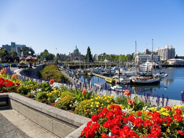 istock Inner Harbor in downtown of Victoria BC 1331647028