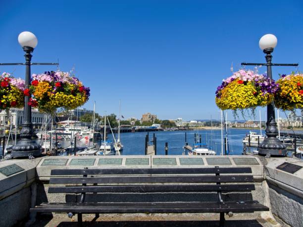 istock Inner Harbor in downtown of Victoria BC 1331647571