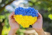 Herz aus blauen und gelben Blüten in den Händen eines Kindes.