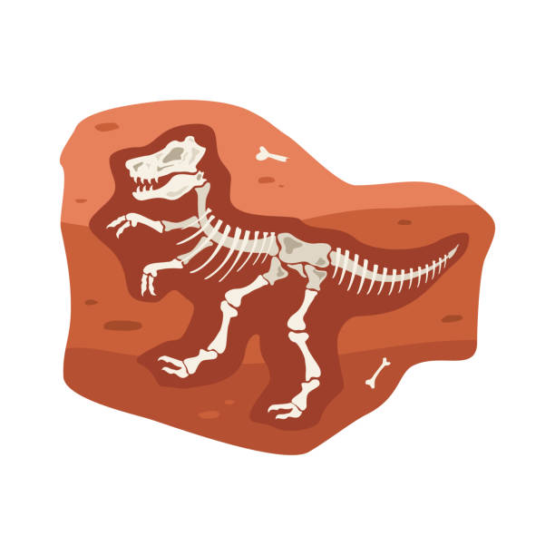 dinosaurierskelett, knochen ausgestorbener tiere unter der erde in flach - dinosaur fossil tyrannosaurus rex animal skeleton stock-grafiken, -clipart, -cartoons und -symbole