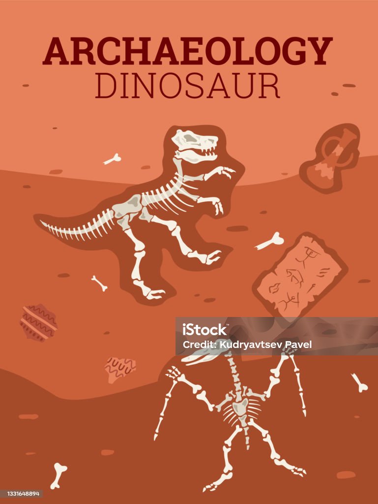 Ilustración de Huesos Esqueletos De Dinosaurios Objetos Antiguos Tesoros En  Estilo De Dibujos Animados Planos y más Vectores Libres de Derechos de  Debajo de - iStock