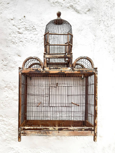 istock Retro and rusty bird cage front view. Old empty vintage metal bird aviary hanging on white concrete wall. Elegant home decor. Symbol of liberty. 1331651021
