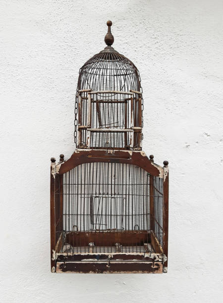 Old empty vintage metal bird aviary hanging on white concrete wall. Retro and rusty bird cage front view. Elegant home decor. Symbol of liberty.