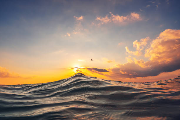 istock Sea wave close up, low angle view, sunrise shot 1331652710