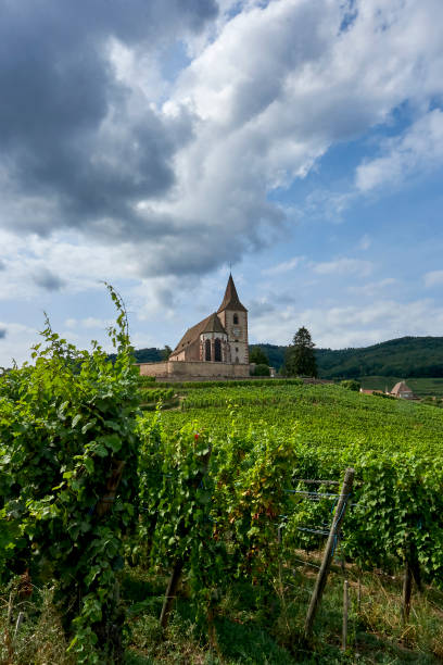 istock A little church between the vineyards in Alsace 1331654409