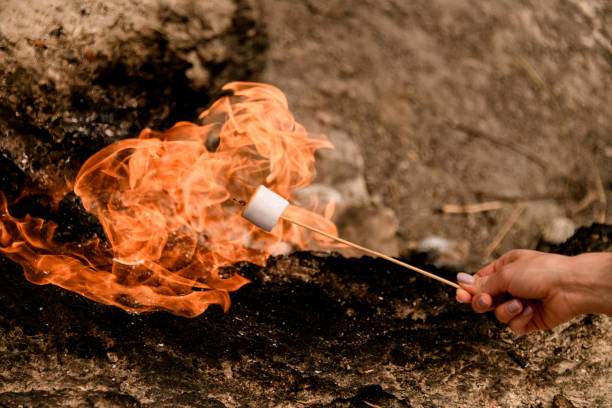 woman's hand holds stick with marshmallow and roasts it over the fire